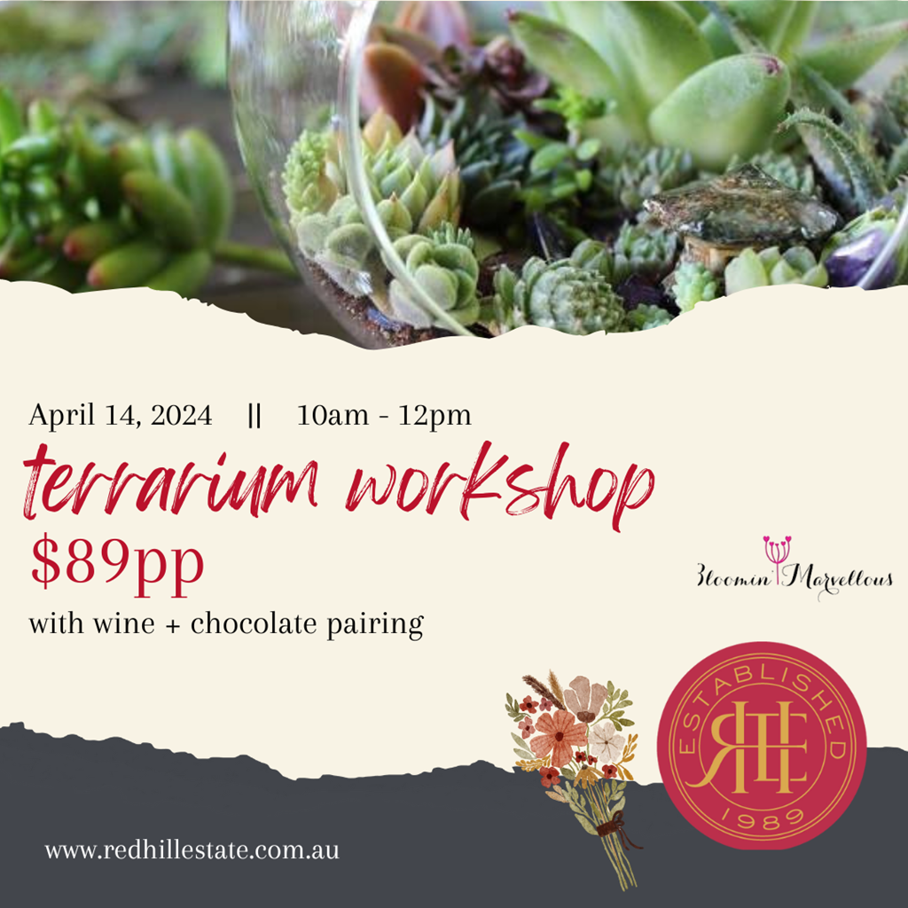 SOLD OUT! Wine and Chocolate Tasting + Terrarium Workshop 