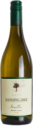LIMITED RELEASE: Aged Hunter Semillon 2014