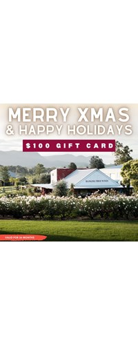 $100 Gift Card - Merry Christmas & Happy Holidays!